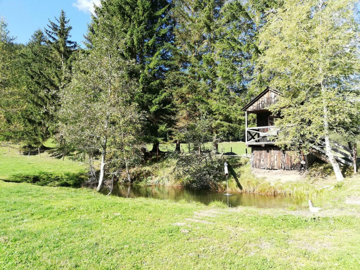 Villa Almland Huette à Pusterwald Extérieur photo